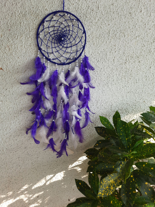 Purple and white dreamcatcher.